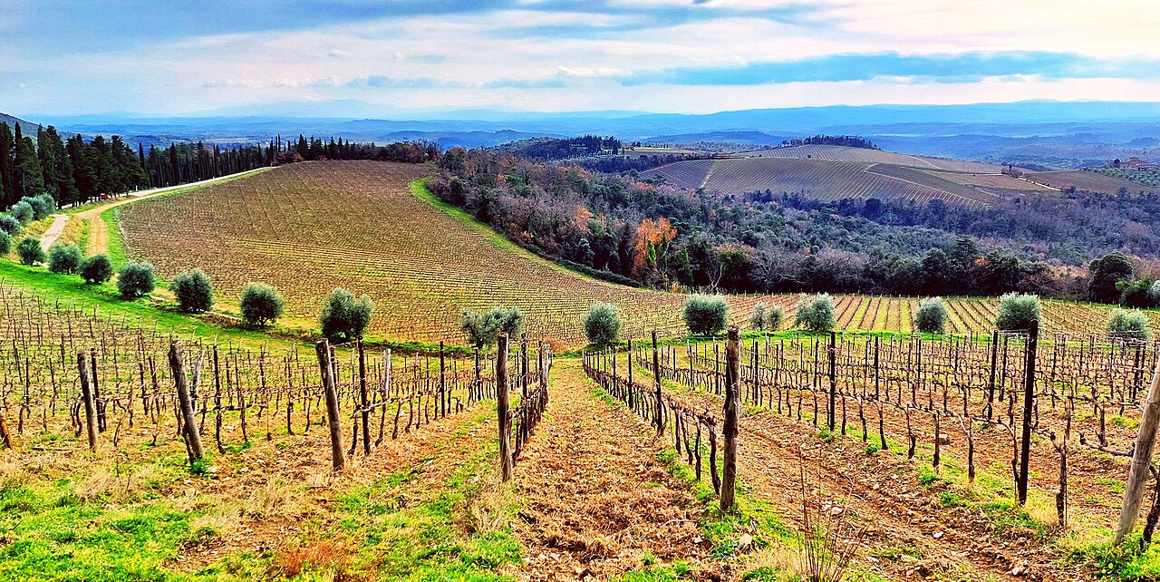 Hills of Chianti, Gaiole in Chianti