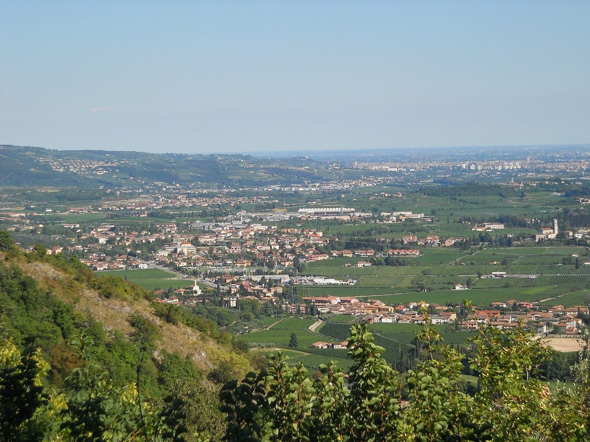 Tommasi