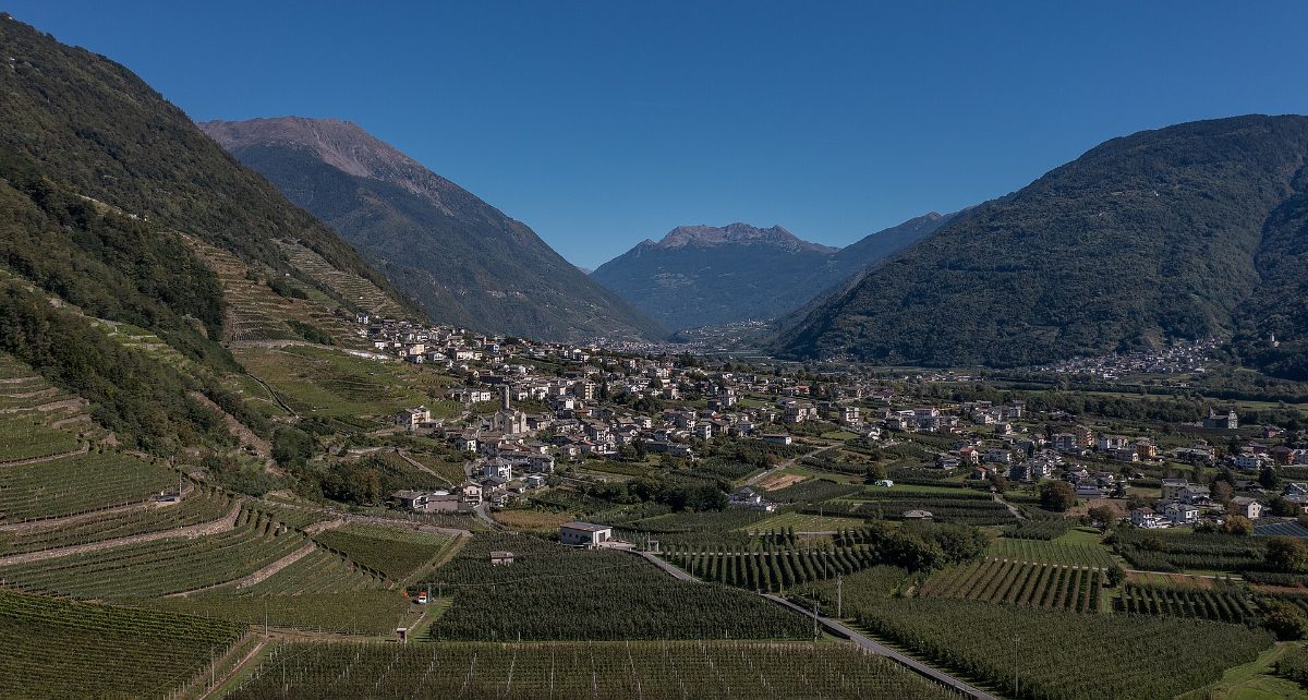 Triacca — Tenuta La Gatta